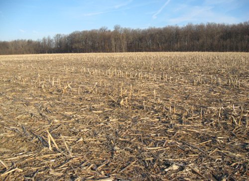 Property photo 7 - 44 Acres Offered in 3 Tracts
